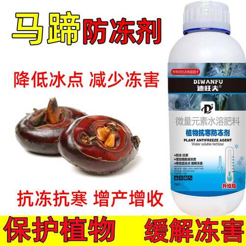 马蹄防冻液马蹄抗冻防寒剂马蹄专用药解冻害抗低温马蹄防冻剂叶肥