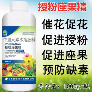 蔬菜瓜果树通用授粉座果精保花保果催花坐果药水溶肥坐果剂受粉药