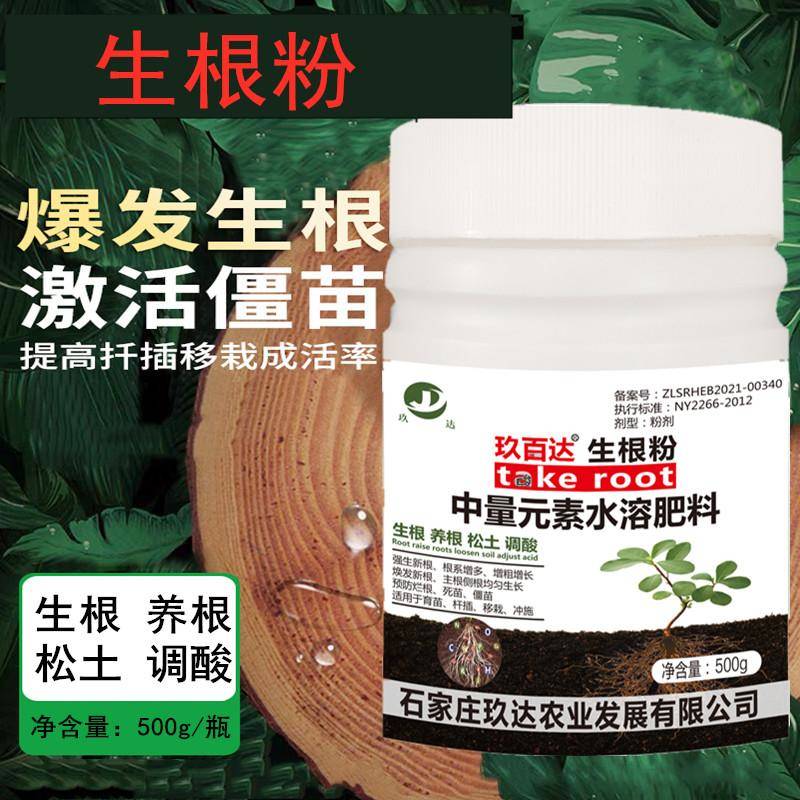 快生根剂植物通用强生根液壮苗剂移栽树木促生根粉极顶生根粉