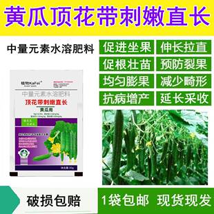 黄瓜叶面肥料顺直不弯膨大拉长拉直素丝瓜坐果灵沾花专用药水溶肥