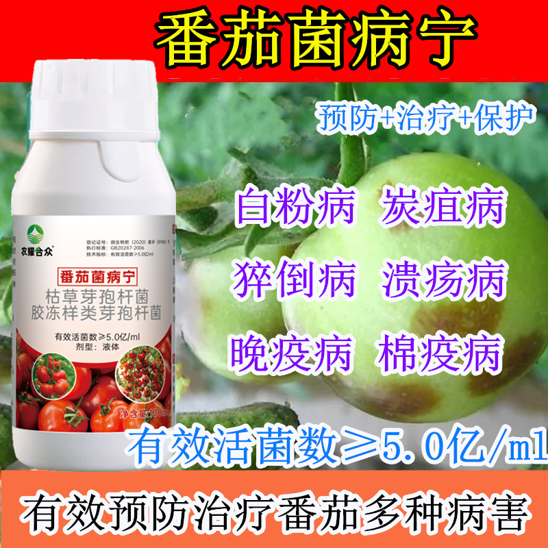 西红柿病毒病专用药防裂果灰霉病溃疡卷叶病枯萎黑杆病番茄病菌清