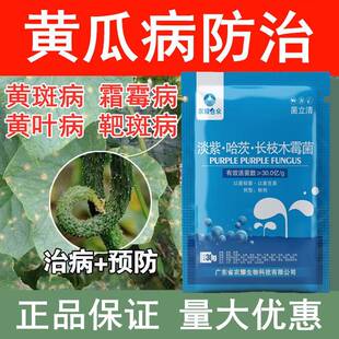 黄瓜病害防治药杀菌剂黄斑病黄叶病霜霉病白斑白粉靶斑病专用肥料