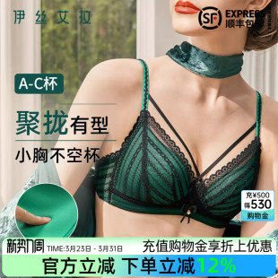 伊丝艾拉法式三角杯内衣女小胸聚拢无钢圈文胸套装女蕾丝性感胸罩