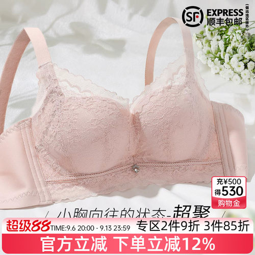 伊丝艾拉性感无钢圈聚拢文胸