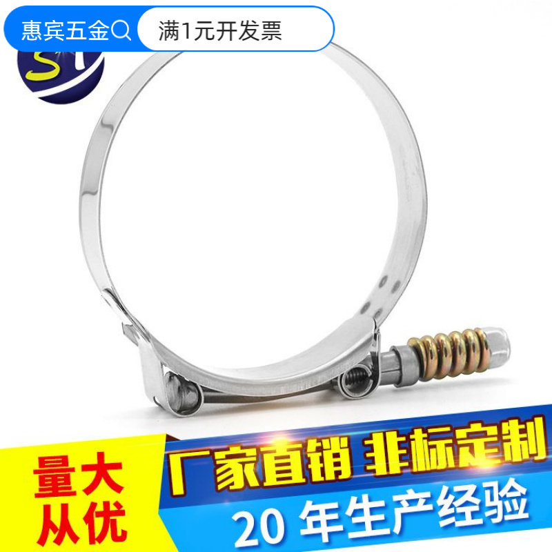 T型强力卡箍带弹簧式63-195欧式
