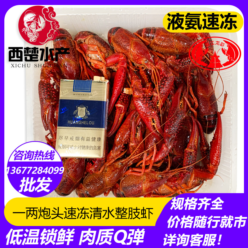 潜江1两以上清水冷冻小龙虾鲜活小龙虾速冻冷冻小龙虾冻虾炮头批
