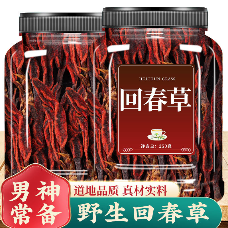 回春草新鲜正品泡水泡茶