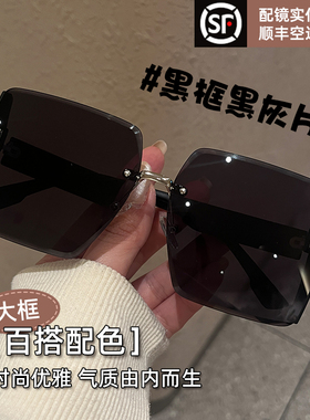 茶色墨镜女大框太阳眼镜防紫外线