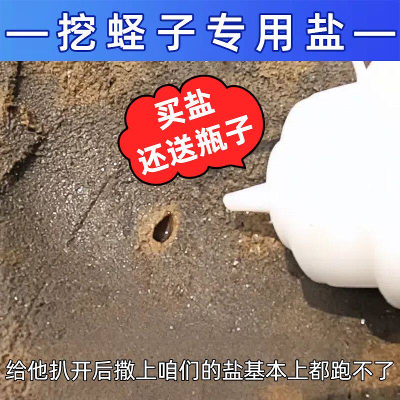 专业赶海工具套装挖蛏子螃蟹盐