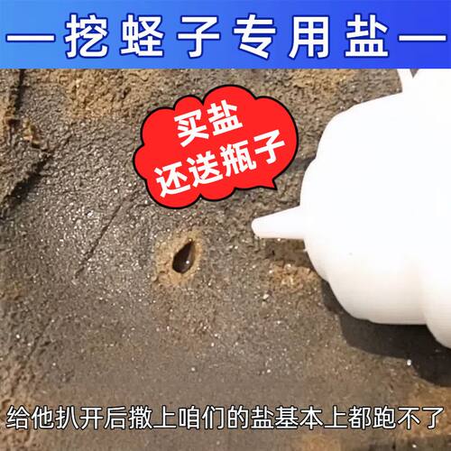 专业赶海工具套装挖蛏子螃蟹盐