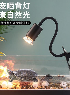 乌龟晒背加热保温灯防寒
