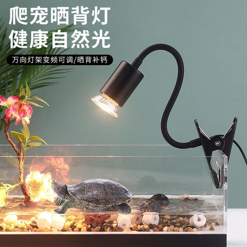 乌龟晒背加热保温灯防寒