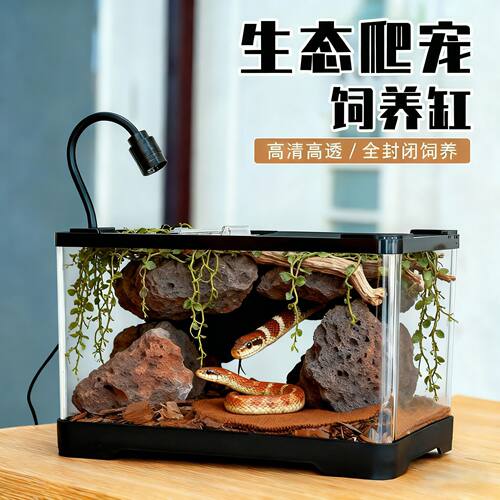 蛇苗玉米蛇专用保温饲养箱