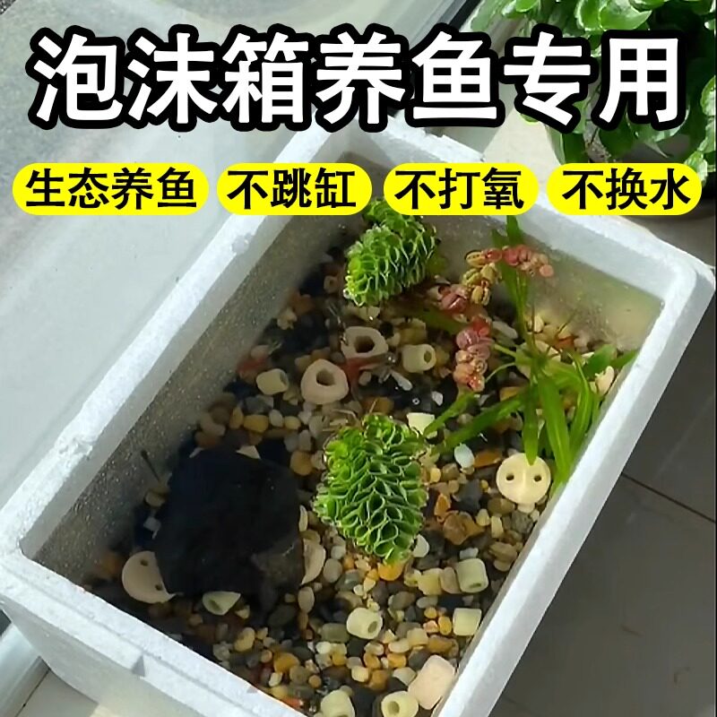 泡沫箱养鱼专用加厚高密度保温箱懒人养鱼缸观赏鱼龟缸家用可种菜图片