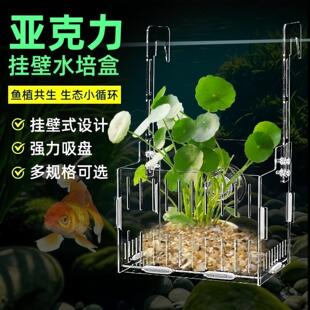 鱼缸水培挂篮大号植物亚格力吸盘水草种植器皿可调节透明造景装饰