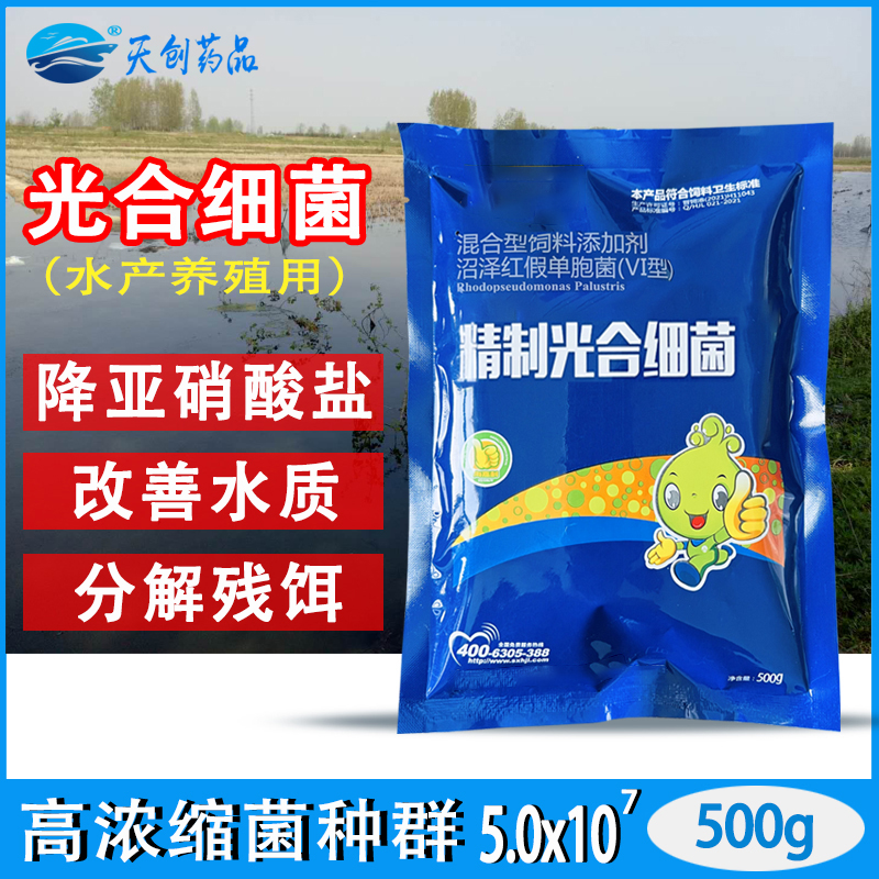 光合细菌浓缩菌种降亚硝酸盐净水
