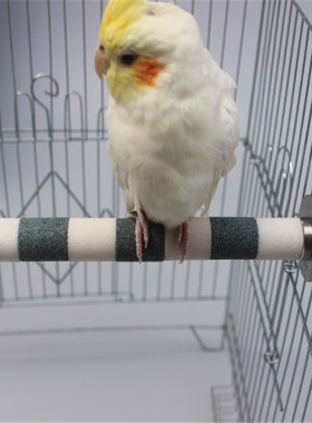 鹦鹉磨爪棍站杆不锈钢站杠玄凤牡丹虎皮站架磨指甲磨嘴鹦鹉鸟用品