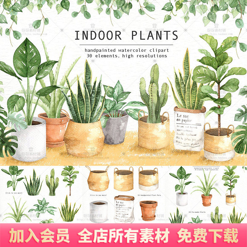 手绘水彩绿色盆栽植物虎皮兰仙人掌绿萝花盆png免抠装饰设计素材