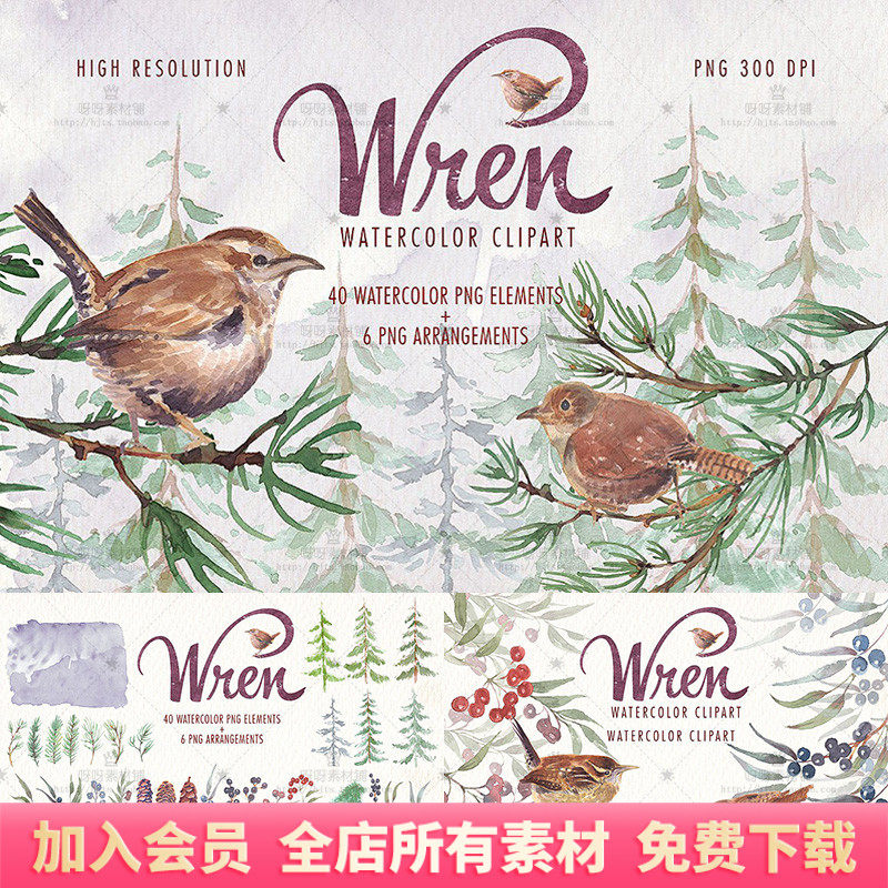 森系手绘水彩鹪鹩小鸟松树松枝松果花环png免扣图片装饰设计素材