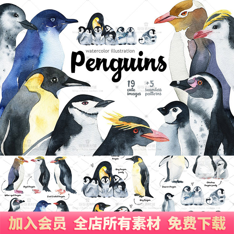 手绘水彩可爱南北极帝企鹅企鹅帽带企鹅宝宝png免扣装饰设计素材