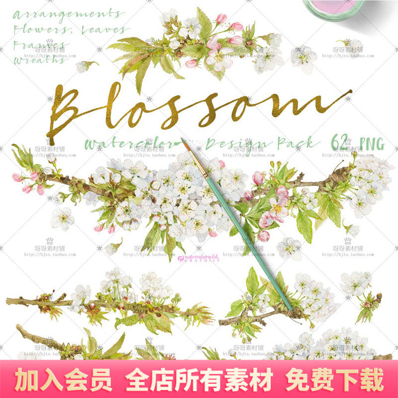 淡雅手绘水彩白色樱花叶子请柬贺卡装饰包装海报png免抠设计素材