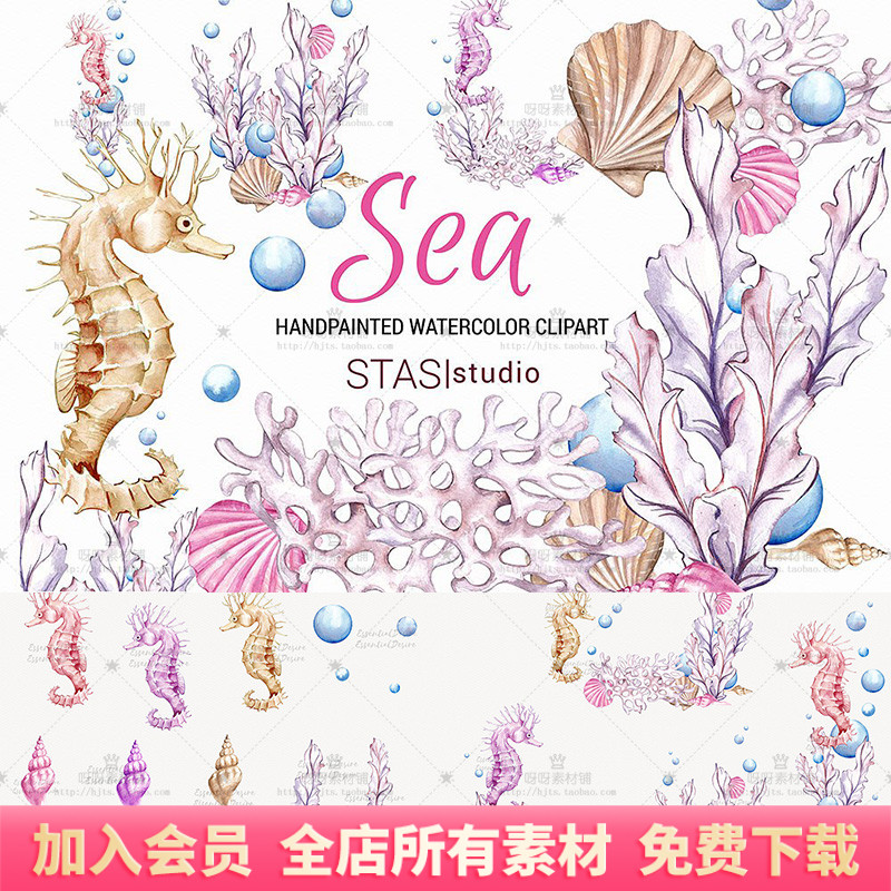 手绘水彩海洋生物海马贝壳珊瑚海螺卡片海报装饰png免扣设计素材