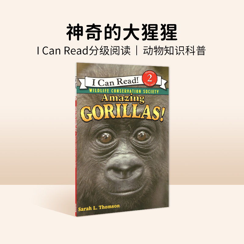 神奇的大猩猩英文原版绘本