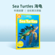 Geographic Sea Readers 国家地理National 2阶 英文原版 Turtles 海龟