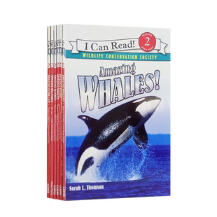 正版 儿童英文原版绘本Amazing神奇动物系列全套装6册4-8岁i can read2阶Sharks!幼儿绘本书Amazing Dolphins!分级读物Gorillas!