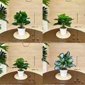 仿真植物盆景假花仿真花玄关摆件电视柜装 饰客厅餐桌摆设办公室