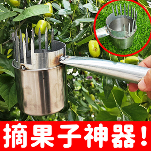 新型摘酸枣神器不锈钢采摘山枣神器摘果专用采野果摘酸枣采摘工具
