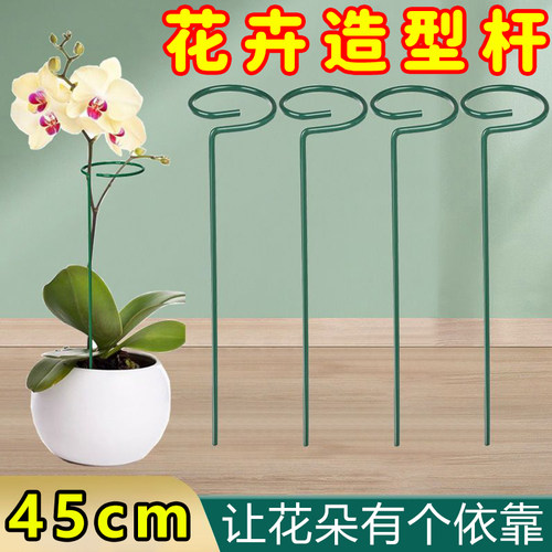 植物防倒伏支架支撑杆园艺固定架
