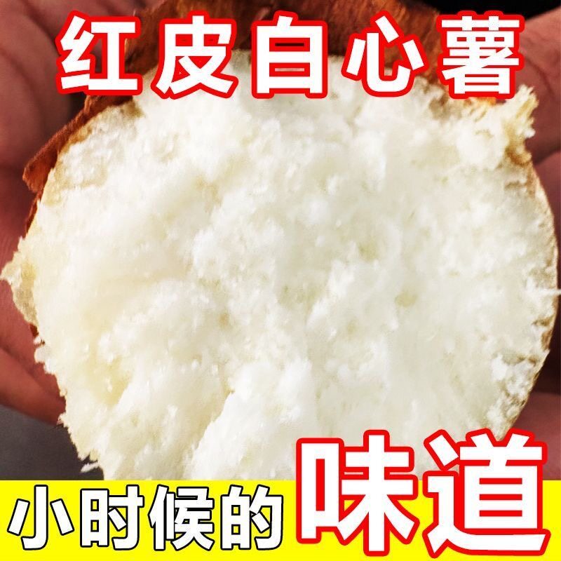 四川农家自种新鲜红薯粉糯香甜白心番薯地瓜红皮白心淀粉薯煮粥
