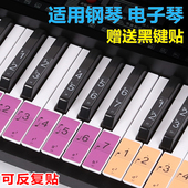 88键钢琴键盘贴纸76键61键54键电子琴琴键贴纸五线谱简谱音符贴彩