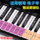 88键钢琴键盘贴纸76键61键54键电子琴琴键贴纸五线谱简谱音符贴彩