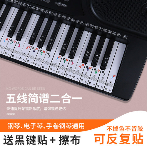 钢琴键盘贴按键音阶贴88/76/61键