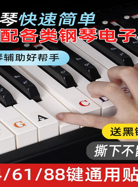 字母钢琴键盘贴纸通用音名音标贴