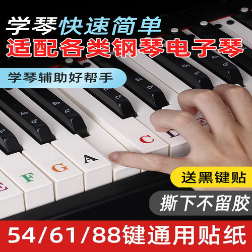 字母钢琴键盘贴纸通用音名音标贴