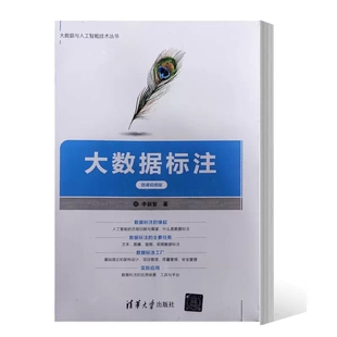【出版社直供】大数据标注（微课视频版）李颖智 大数据与人工智能技术 AI大数据标注课程教科书 9787302618256 清华大学出版社