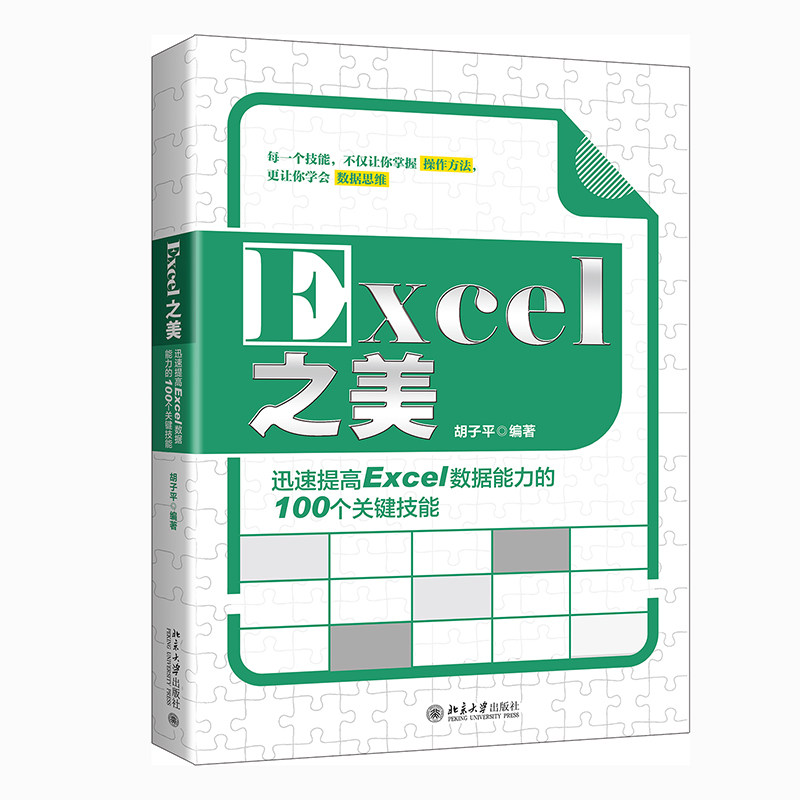 【出版社直供】Excel之美 迅速提高Excel数据能力的100个关键技能 设置与优化单元格的数字格式 办公自动化软件新专业科技书籍