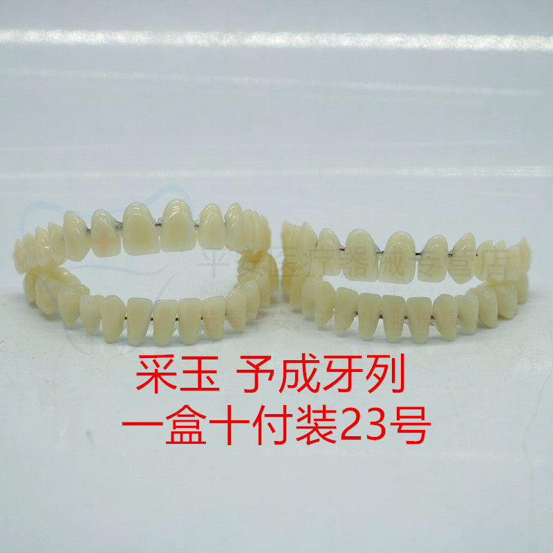 牙科豫成牙列 采玉牙齿 合成树脂牙 10付装 全口义齿予成牙列口腔