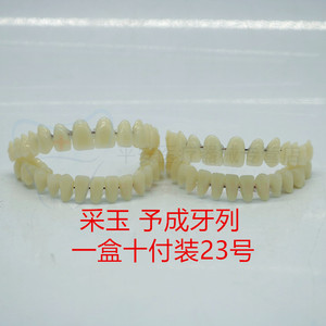 牙科豫成牙列 采玉牙齿 合成树脂牙 10付装 全口义齿予成牙列口腔