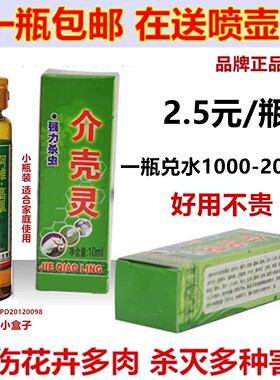 介壳灵九州护花神粉蚧介壳虫