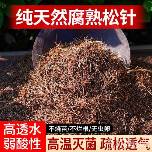 纯松针发酵酸性腐殖土腐叶土补酸松针土喜酸植物土有机土营养土