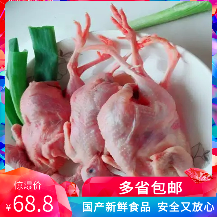 20只装新鲜鹌鹑肉母冷冻白条