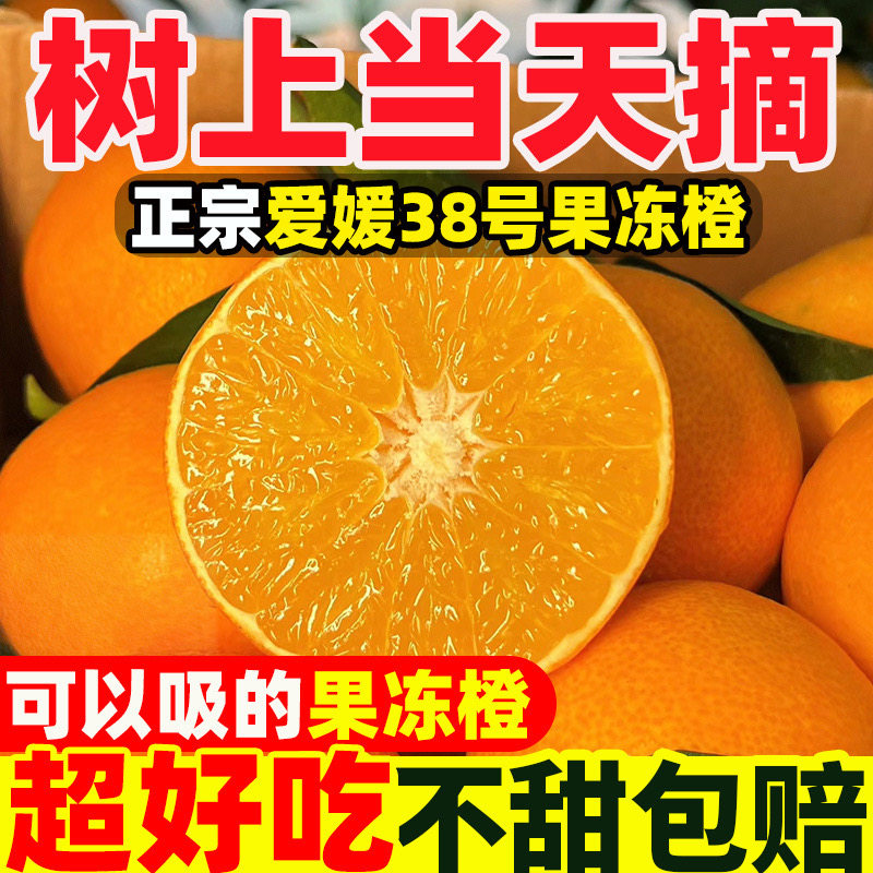 四川爱媛38号应季果冻橙新鲜橙子