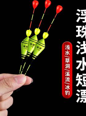 超短草洞漂浅水鱼漂小白条鲫鱼短尾漂纳米浮漂加粗浮珠对撞醒目豆