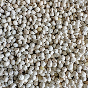 新白苏子鸟食鸟粮软壳苏籽虎皮鹦鹉玉鸟芙蓉鸟金丝雀