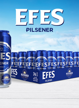 艾菲啤酒土耳其进口500mlefes