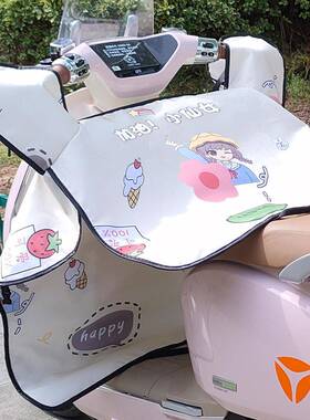 适用于爱玛晴天电动车挡风被配件大全欣果q10/小爱e390/q321/露娜